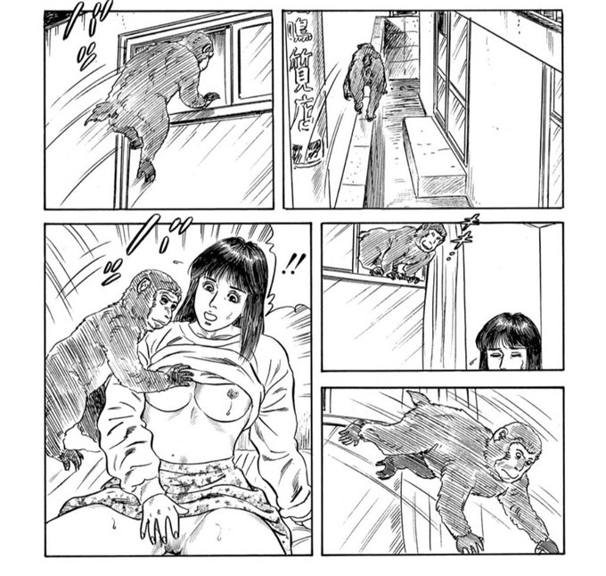 本日の5コマでわかる猿まっしぐら 