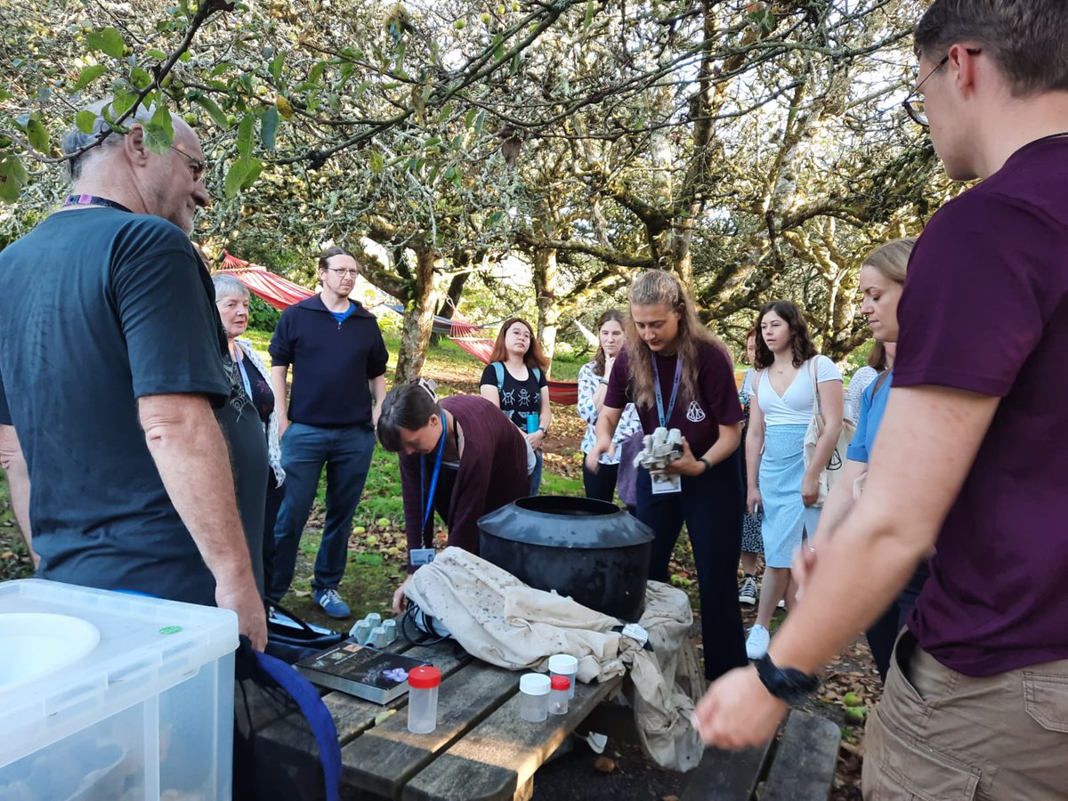 Royal Entomological Society tweet media