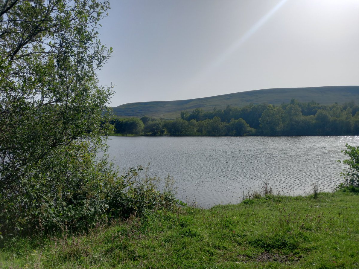 Johnny Silvers tweet media