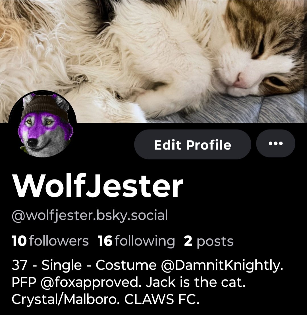 WolfJester tweet media