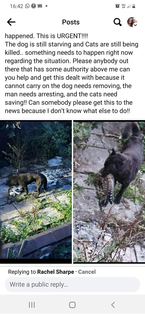 byebyesmoke's tweet photo. Can the rspca please hurry Nd respond to this how many times does it need reporting https://t.co/ECPLk3urvn
