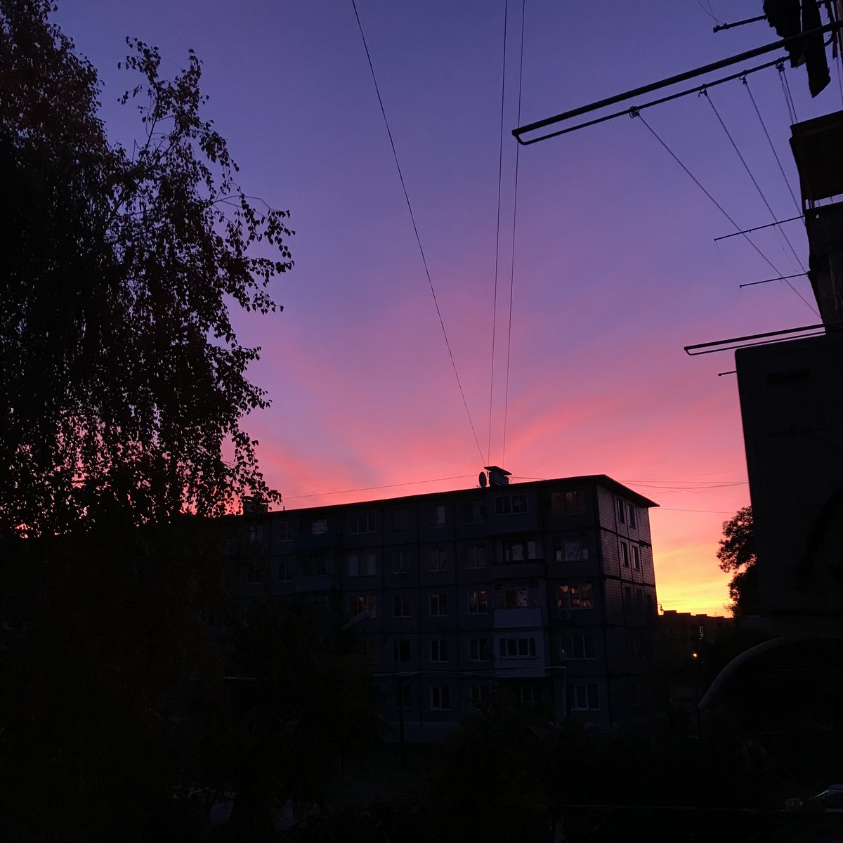 vikajullia's tweet photo. https://t.co/gQfWSUl4l6