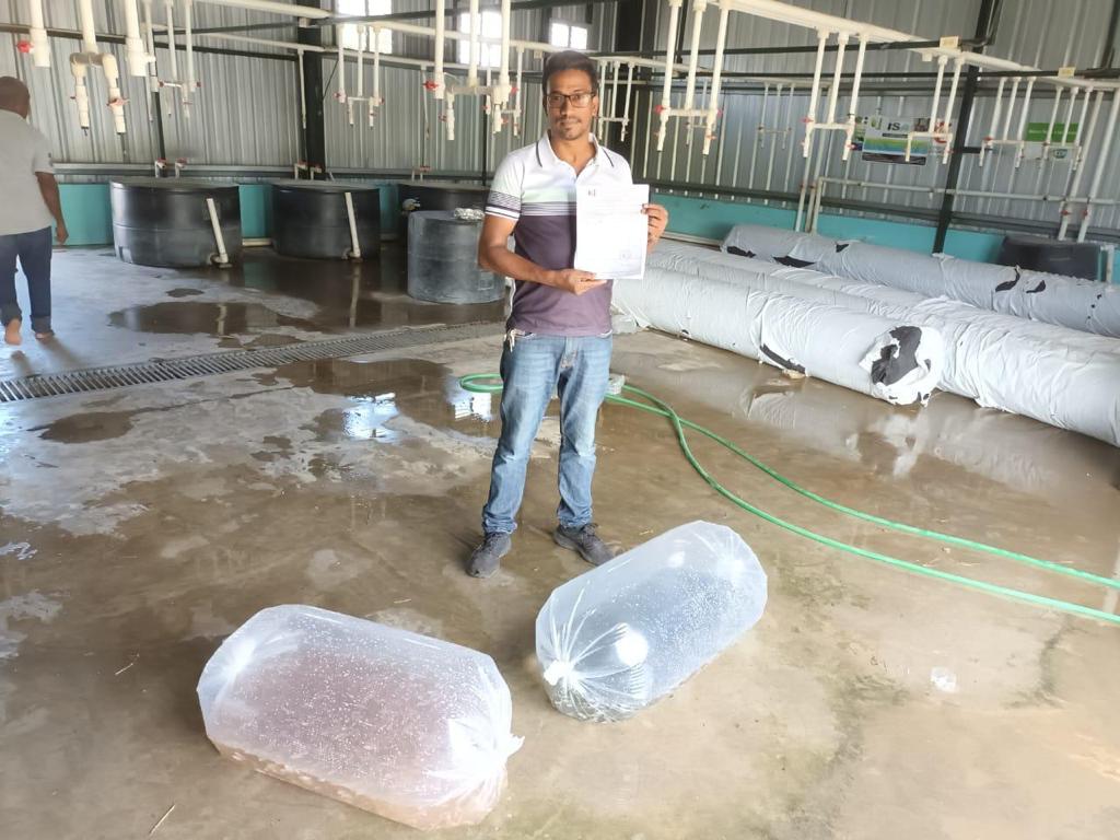 Feda_RD's tweet photo. ¡Seguimos Dao al Pecao apoyando el sector acuícola del país!
En esta ocasión realizamos la entrega de 10 mil alevines de tilapia roja F1 , al beneficiario Julio César Rodríguez de la Prov. Santiago Rodriguez
#fedard #daoalpecao #acuicultura https://t.co/0FTKkIEEWR