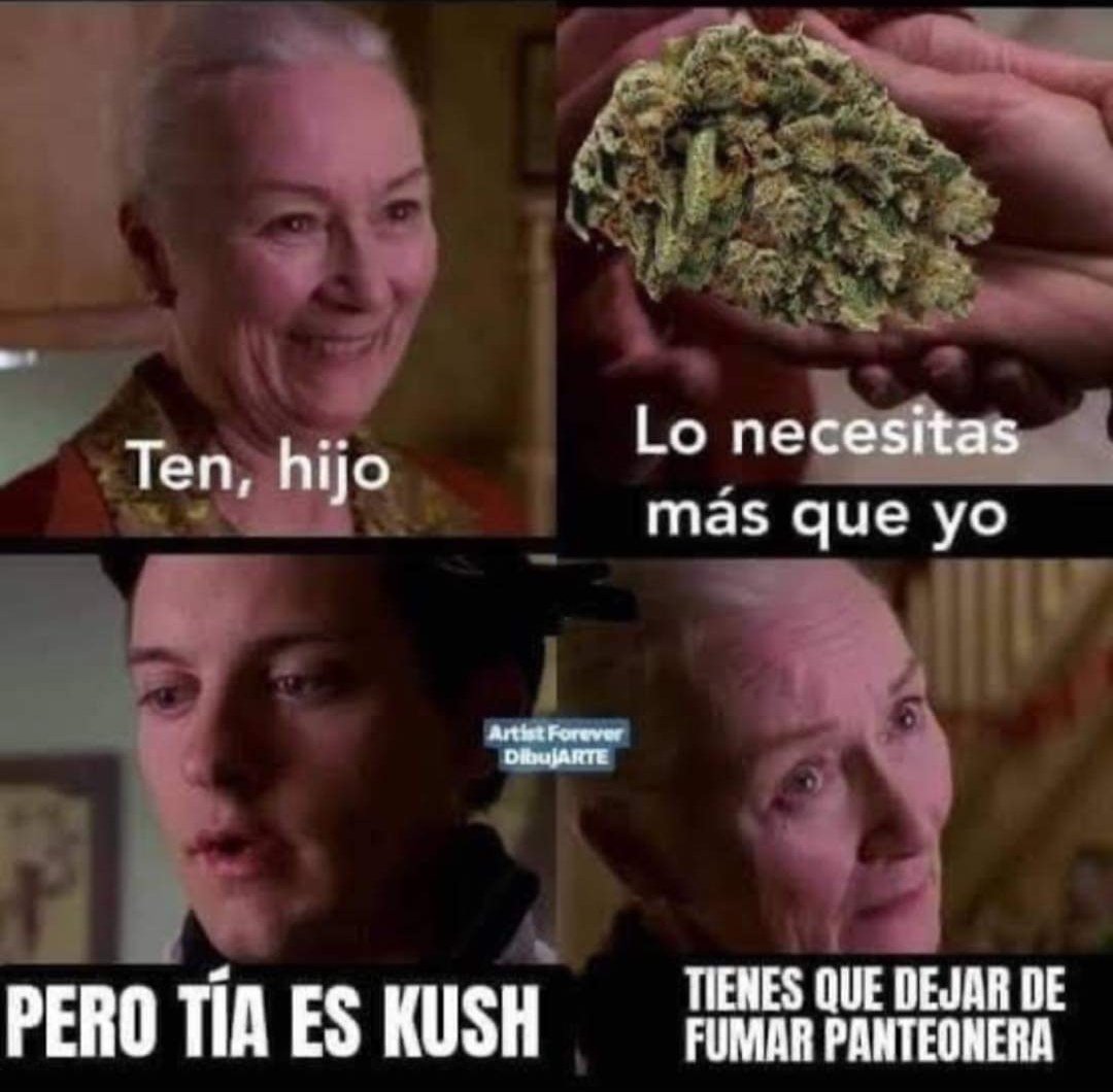 punto420's tweet photo. Por el bien de su salud y de su Viaje 🍁✨

#ElPunto420 #COVID19 #Envios #Gratis #Cdmx #Cod #Mexico #Flores #420friendly #Weed #Marihuana #Legal https://t.co/88IPOAxSCw