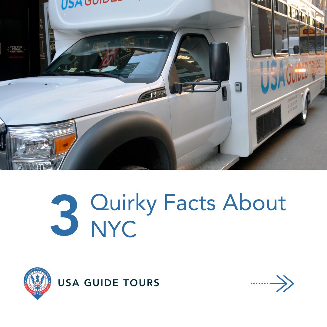 USA Guided Tours tweet media