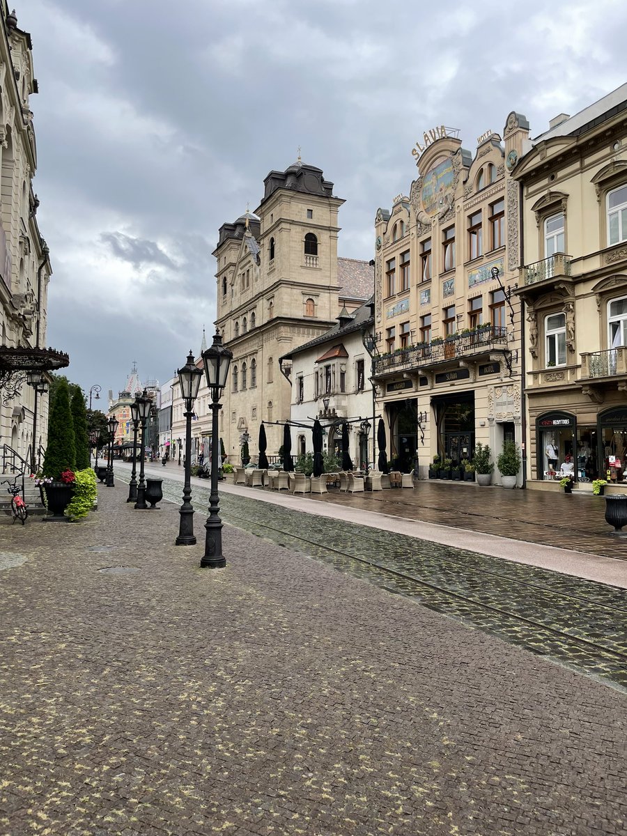 BestSlovakia's tweet photo. Rainy day in magnificent Kosice, - the Eastern Slovak largest city. It's lively and lovely #Slovakia #Kosice #EasternSlovakia #Tours #Trips #Adventures #SaintElisabethCathedral #CarpeDiem https://t.co/Hxv51lKwCy