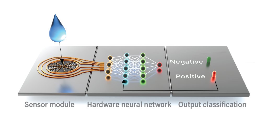 Excited to see this work finally out in <a href="/NatureElectron/">Nature Electronics</a>! In this work <a href="/Evandoremaele/">Eveline</a> pioneers on-chip learning and classification with an organic neuromorphic biosensor using a hardware neural network. nature.com/articles/s4192…