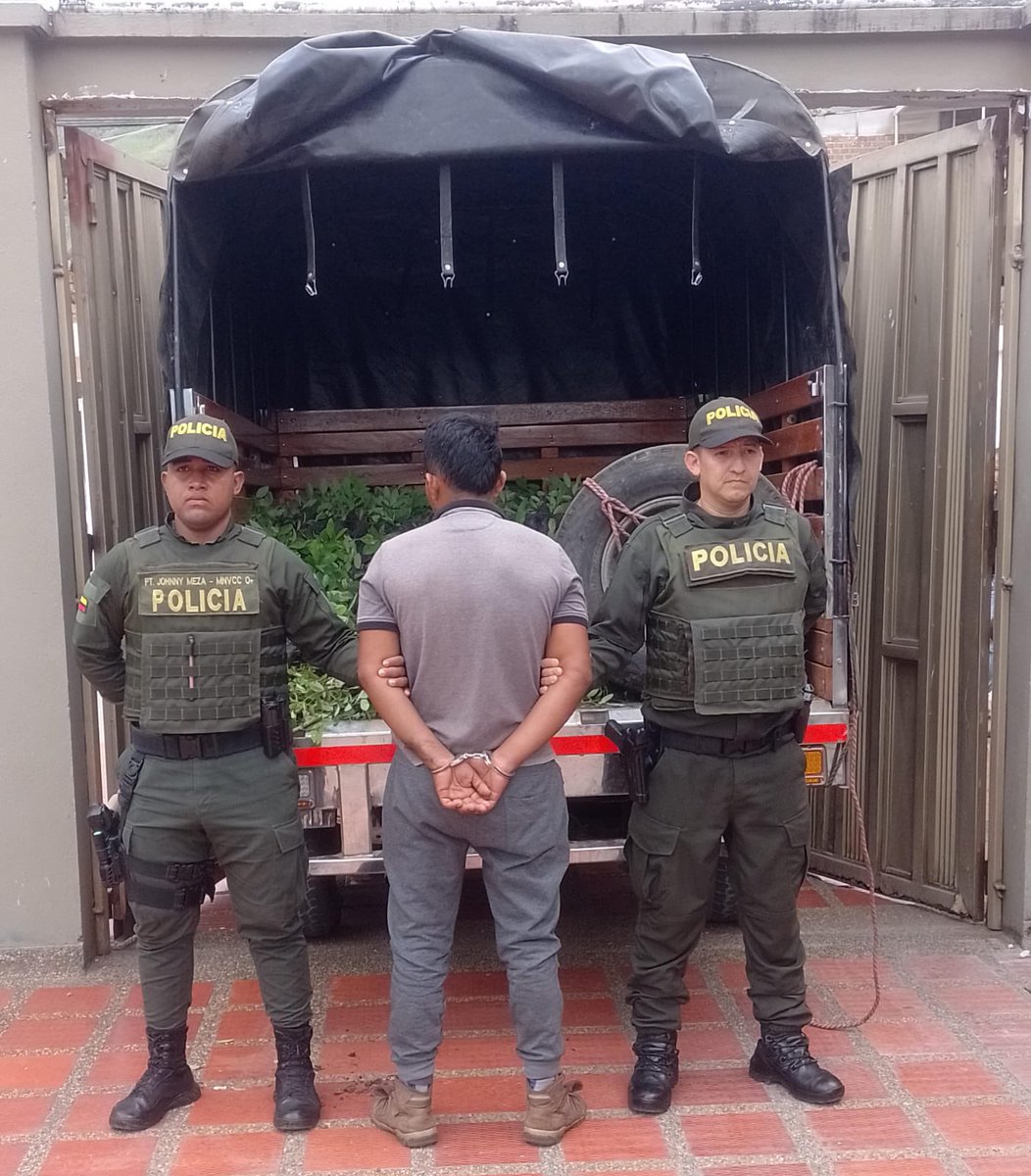 PoliciaNarino's tweet photo. Desde #Ancuya llevamos a cabo la captura en flagrancia de una persona por el delito de conservación o financiación de plantaciones, este sujeto transportaba gran cantidad de semillas de coca en un vehículo de servicio público.
#PlanChoqueSeguridad360 https://t.co/Whp5d3vTkJ