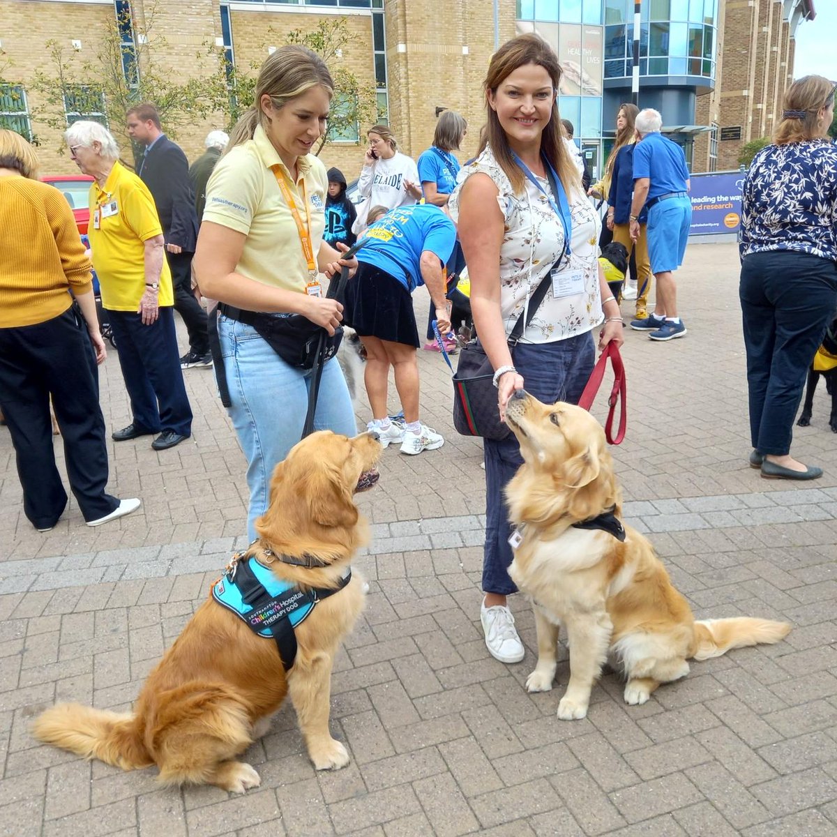 Some more pawsome photos from yesterday's Pets as Therapy celebrations @PetsAsTherapyUK @UHSVolunteers