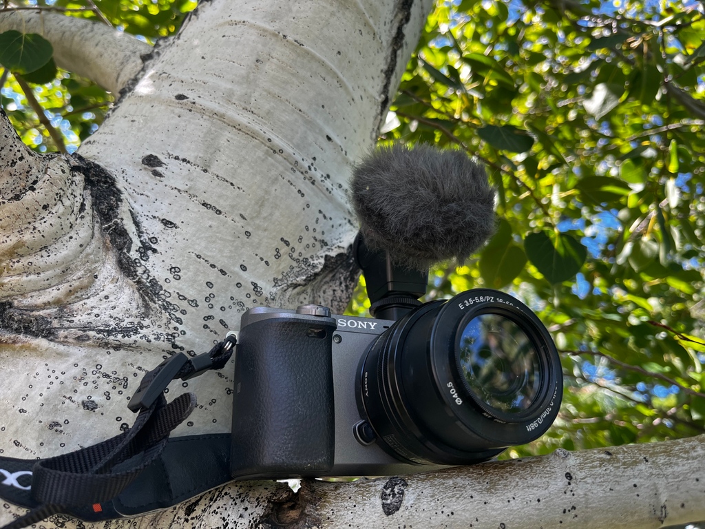 Our Fall Photo Hike on October 19th lets you see life through a new "lens". Get it? 
You may have a camera collecting dust on a shelf, and this is a great opportunity to learn more tips on photographic nature! Are you ready for a photo-adventure? sign up today!