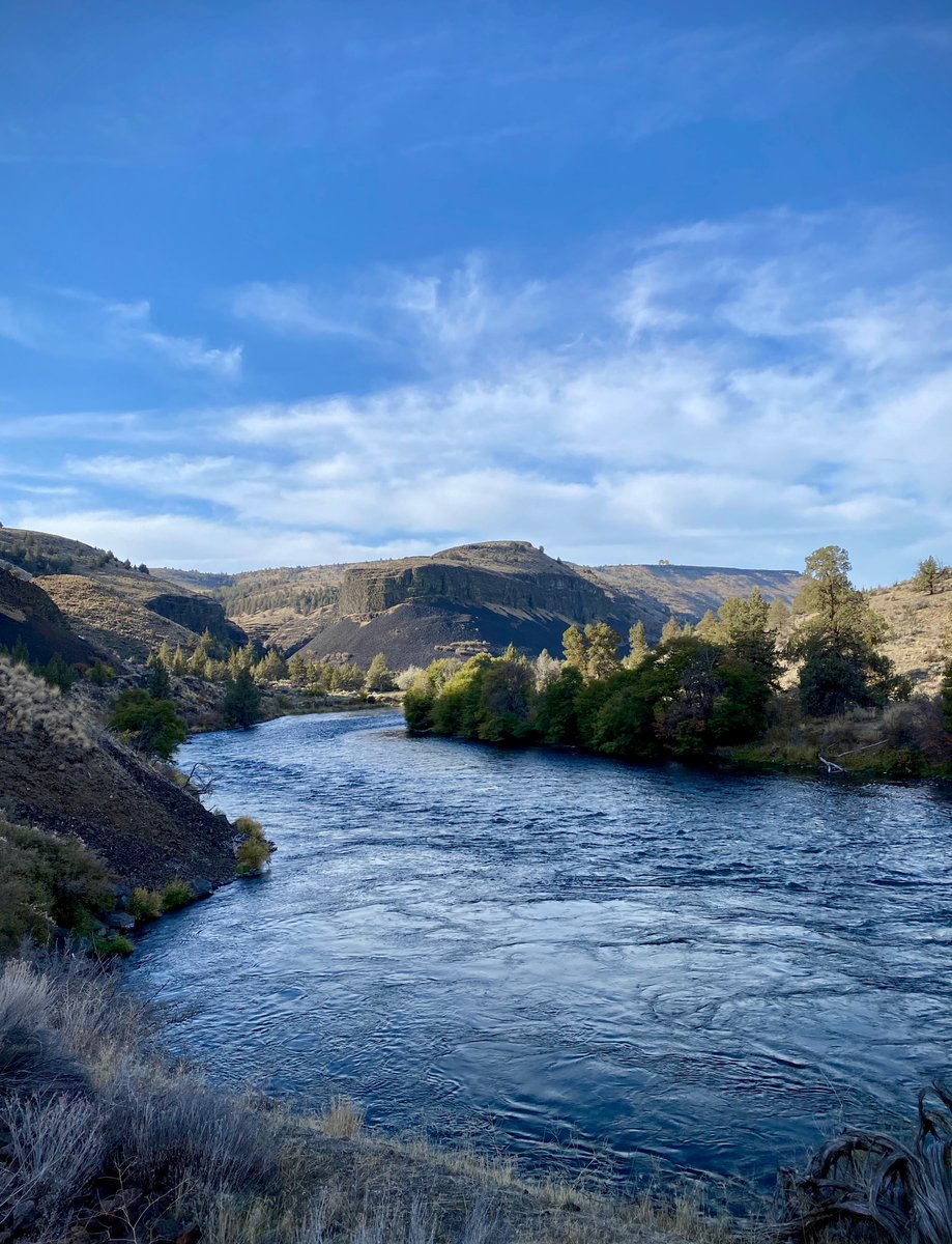 BLM Oregon & Washington tweet media