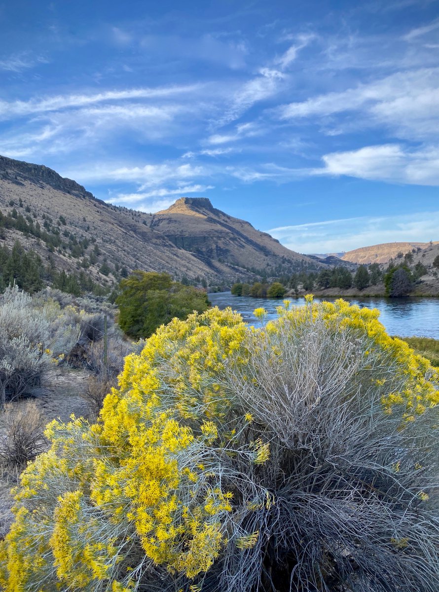 BLM Oregon & Washington tweet media