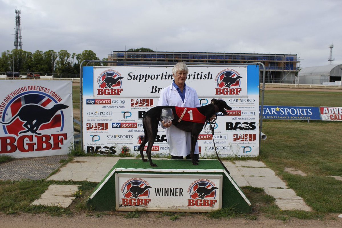 The Blunsdon Maiden Standard Winner Ashway Ebony