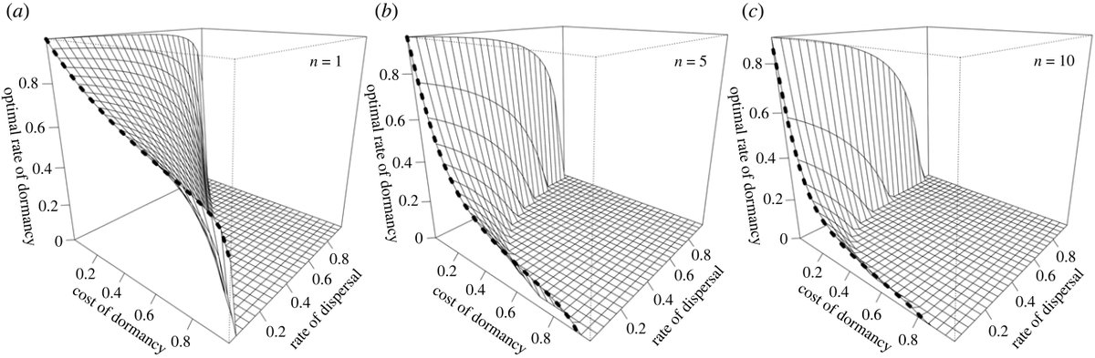 RSocPublishing's tweet image. Kin selection of time travel: the social evolutionary causes and consequences of #dormancy #ProcB #OpenAccess ow.ly/tb6850PLtCB #Behaviour #Evolution @kalyani_zt: @drandygardner