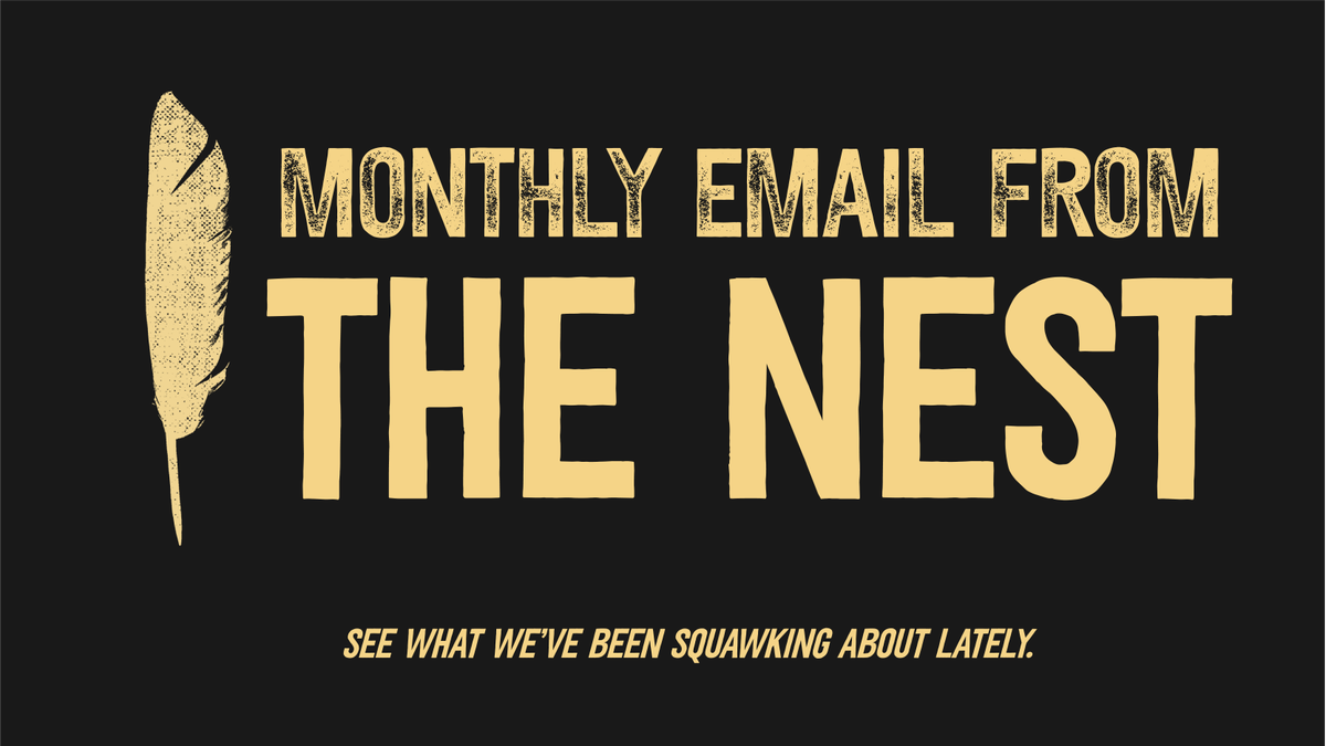 blackravenafc's tweet image. Missed our latest email? Catch up on the latest news and insights from Black Raven AFC: pulse.ly/kg9t2jbqb1

#StayInformed #monthlyemail #subscribenow
