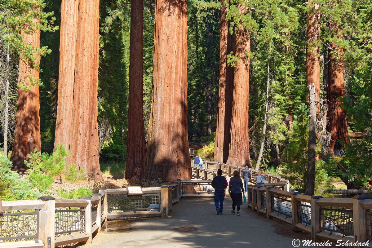 Camp Decrypt (@campdecrypt) on Twitter photo Adventure awaits at Camp Decrypt in AutoCamp Yosemite! ποΈ
Join us on Nov. 7-10th for a unique experience blending technology, nature, & community. Discover inspiring workshops, engage in campfire discussions, & embark on exciting outdoor adventures. π£ββοΈ
Mark your ποΈ, DM for ποΈ Adventure awaits at Camp Decrypt in AutoCamp Yosemite! ποΈ
Join us on Nov. 7-10th for a unique experience blending technology, nature, & community. Discover inspiring workshops, engage in campfire discussions, & embark on exciting outdoor adventures. π£ββοΈ
Mark your ποΈ, DM for ποΈ