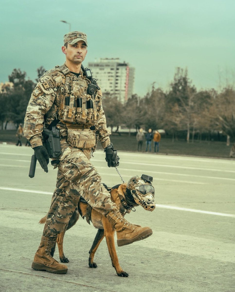 #k9 #k9unit #policedog #policek9 #workingdog #sar #rescue #k9gear #k9police #malinois #militaryk9 #cynophile #k9team #k9training #k9officer #k9handler #darksystemsnews #k9helmet #dogtrainer #maligator #donotpet