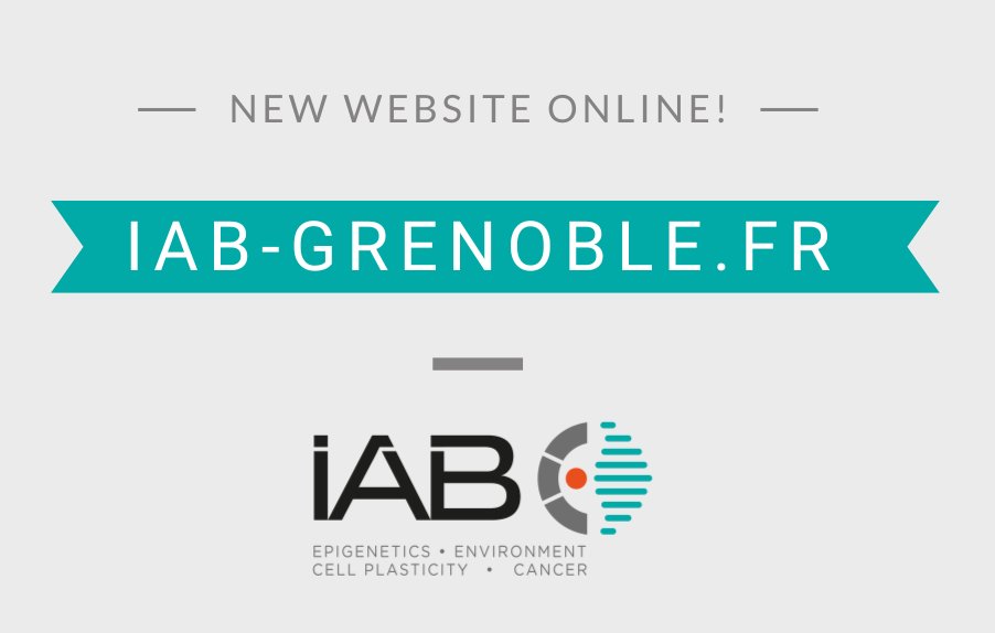 📢 We are delighted to announce the launch of our new website! 🌐
Take a look here: iab-grenoble.fr