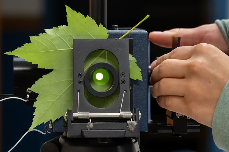 Ecologist Nate Swenson and his team are studying the tree canopy in Wisconsin to match what can be seen in a single pixel from the International Space Station with the actual measurements taken on the ground.

The work will help predict forest health: go.nd.edu/8491fb