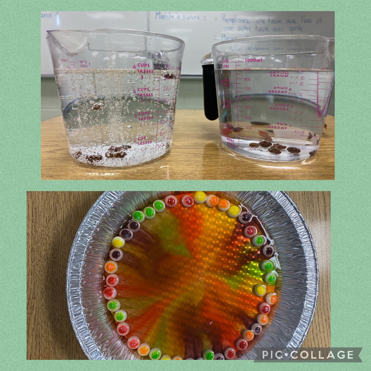 Grade 7/8 EF students have been practicing the scientific experimentation process. #scientists #learningisfun <a href="/stthomasmore19/">St Thomas More DPCDSB</a>