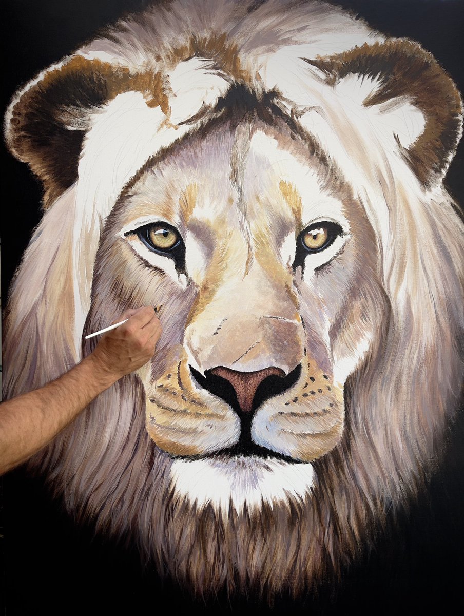 What a joy to have this lion on my easel…. Just started this big painting so not much to see for now but I’m enjoying every moment bringing him to life.