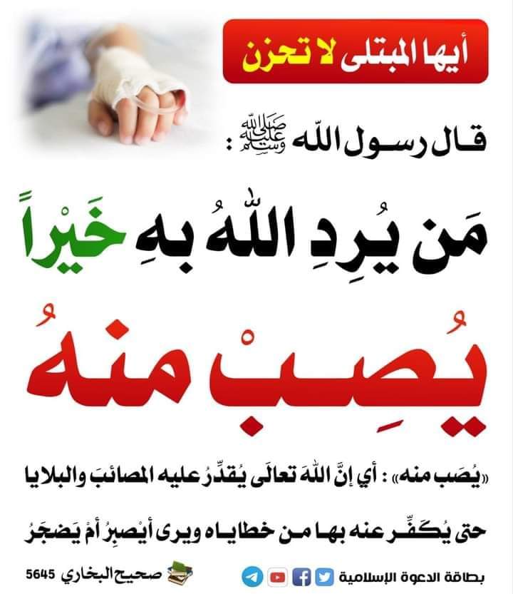 dinislampagecom's tweet photo. https://t.co/apHsDQaSi2