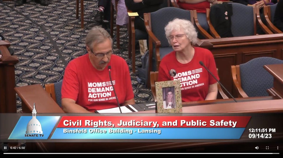 NOW: The #Michigan Senate Judiciary Committee is holding a hearing on #SB471 & #SB472, two bills that would prohibit all those convicted of felony or misdemeanor domestic violence from purchasing or possessing firearms for 8 years after their sentence.