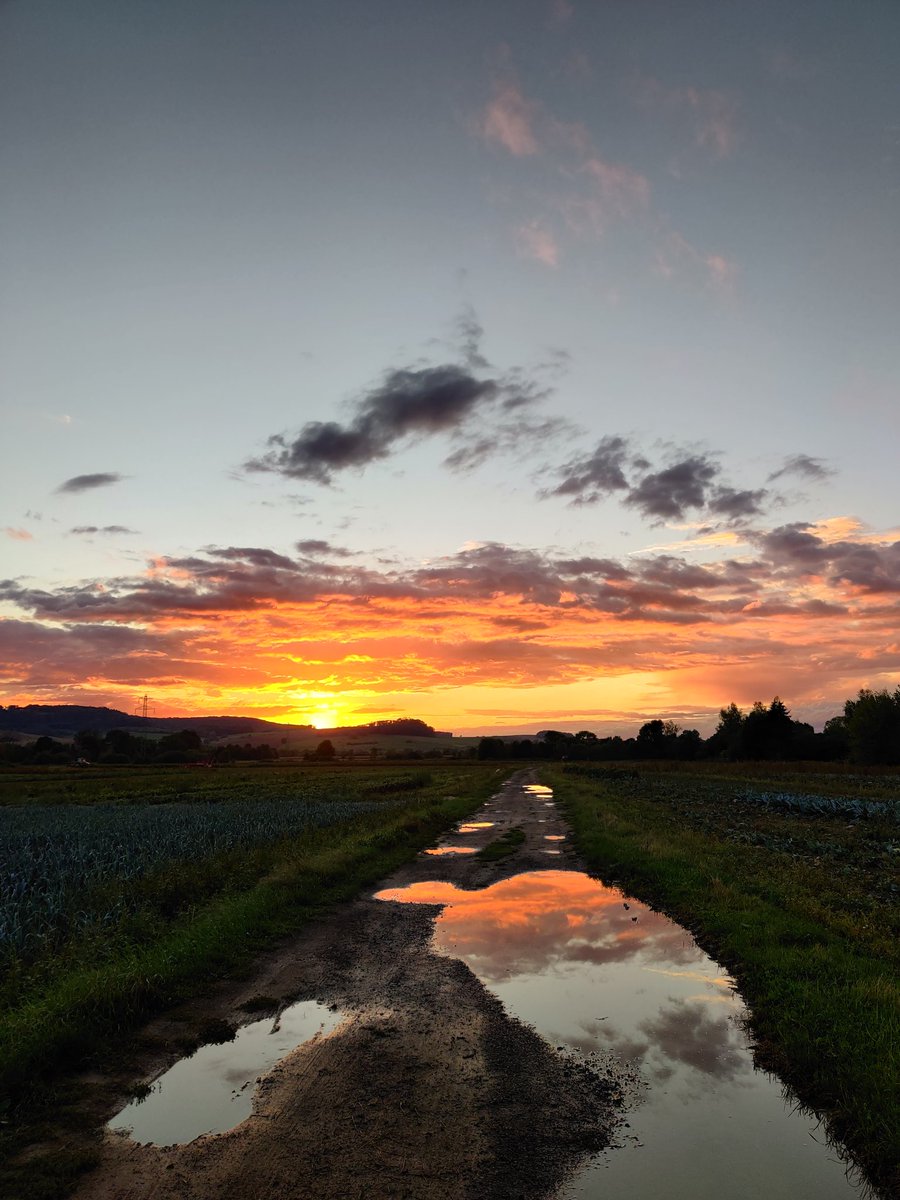 Toss a Coin to your Witcher tweet media