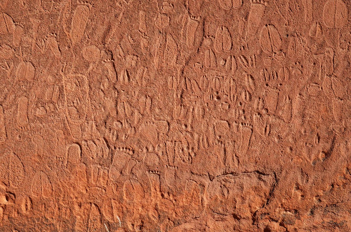 RetourPaleo's tweet photo. Saisissantes gravures préhistoriques d'empreintes animales et humaines sur les parois namibiennes du Doro nawas 
L'étude : https://t.co/yeP3eze8L0
Via https://t.co/WBXHILuhCz https://t.co/25jRIhaj98