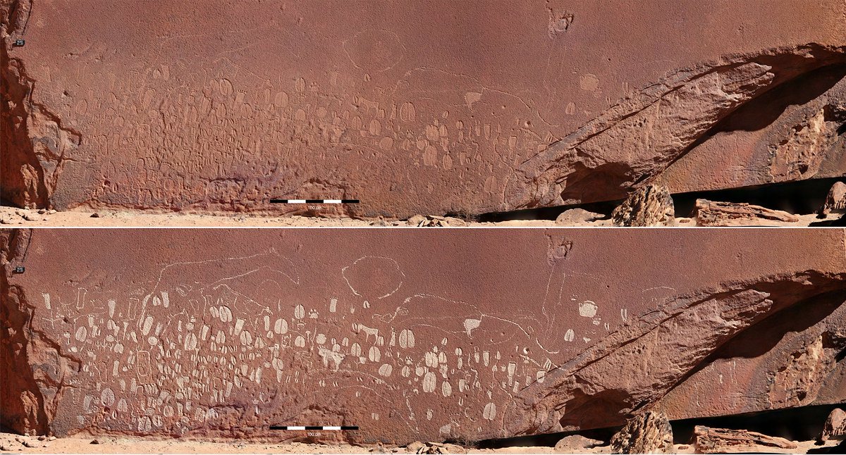 RetourPaleo's tweet photo. Saisissantes gravures préhistoriques d'empreintes animales et humaines sur les parois namibiennes du Doro nawas 
L'étude : https://t.co/yeP3eze8L0
Via https://t.co/WBXHILuhCz https://t.co/25jRIhaj98