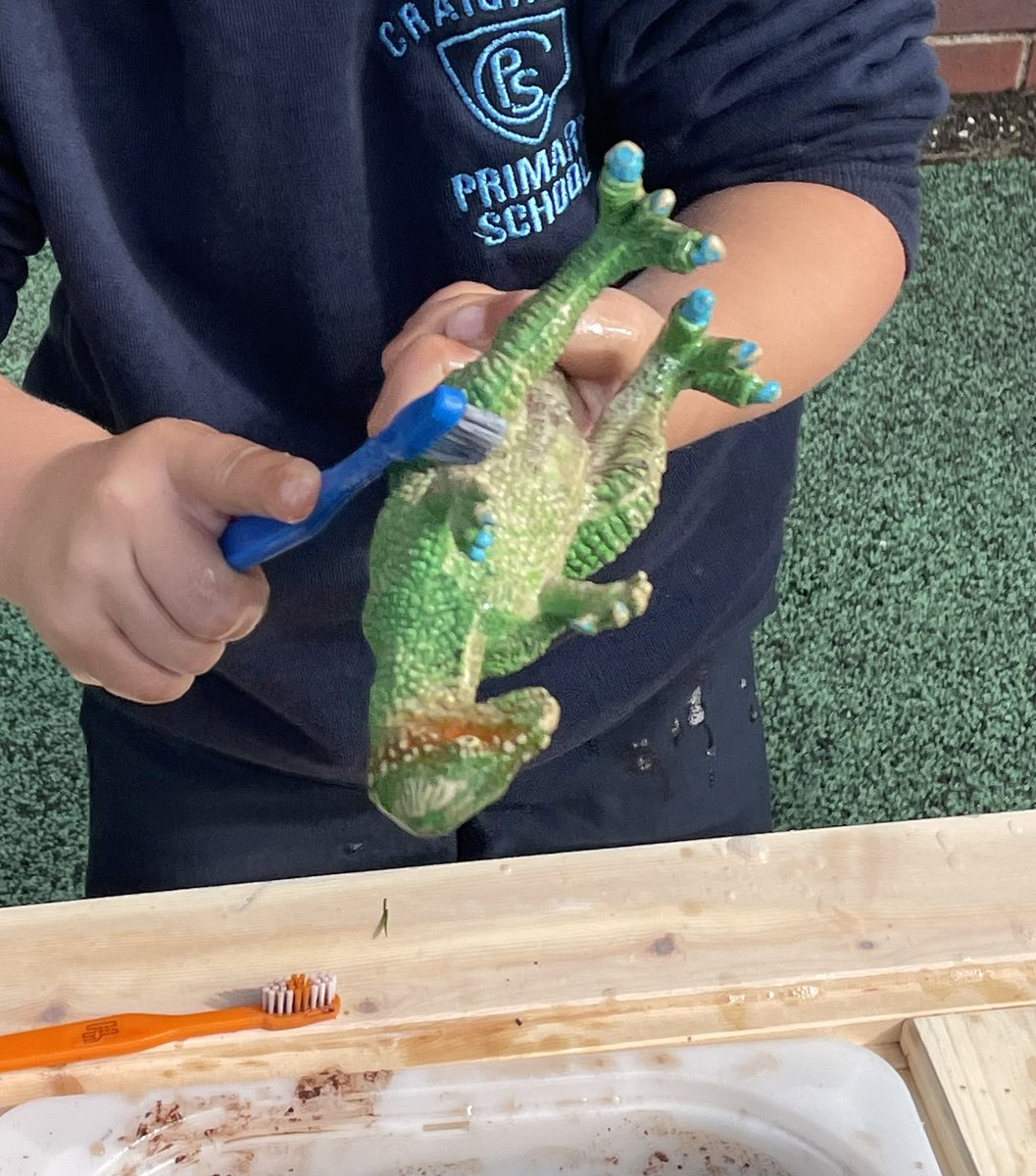 MrsGelston's tweet photo. Dino Wash @MissHughesUoG created a cool Dino Wash Station! We loved playing in the mud then washing our muddy dinosaurs! 🙈🦕 #sensoryplay #play #fun #love #playistheway #dinotheme #flipsat #ikeaed #p1fun #lifeskills #outdoorplay #imaginativeplay https://t.co/iJF1kLLbBP