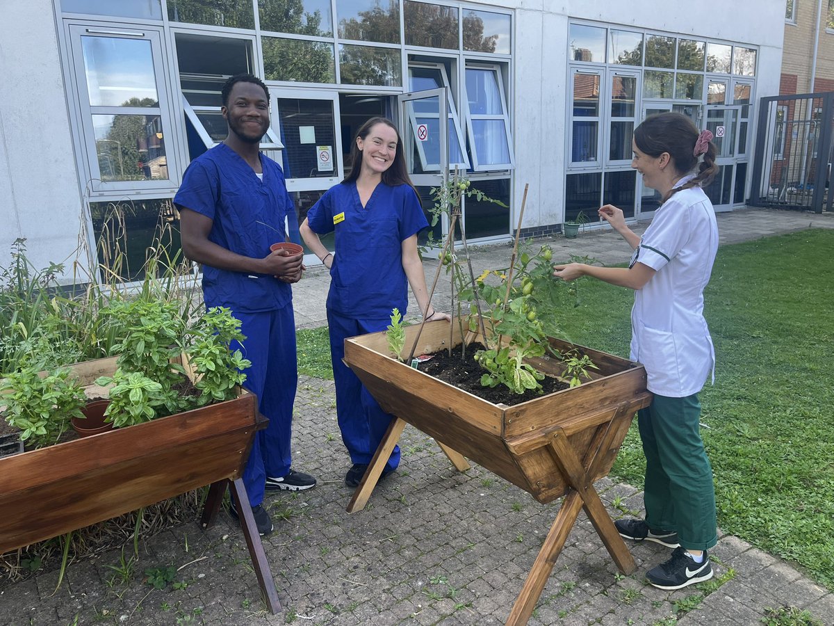 Our edible garden, supported by our wonderful hospital charity, has been a huge success! #MeaningfulOccupations @theRCOT @BBeare123 @StGeorgesTrust @GivingtoGeorges @RCOT_NP @WeAHPs #ValueOfOT @nicolecharleslt @willchegwidden