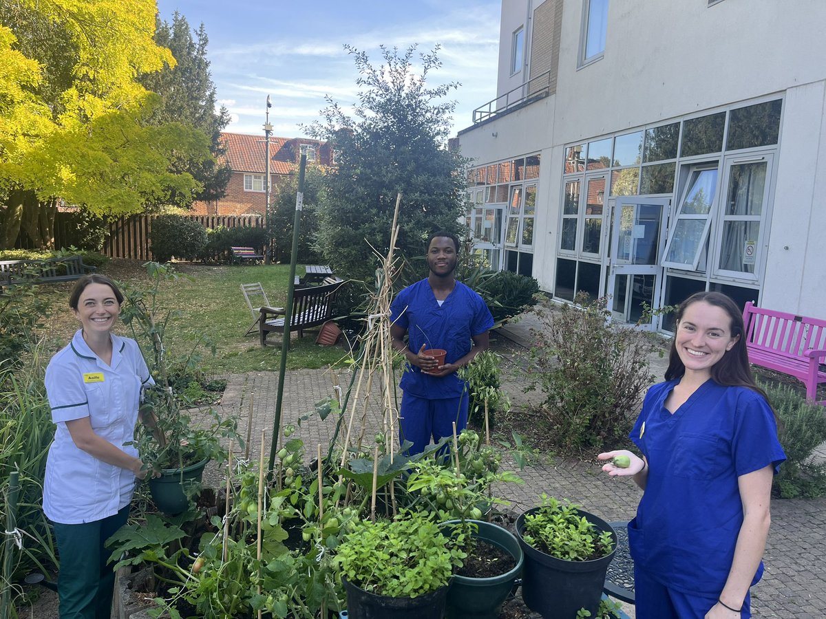 WolfsonNeuro's tweet photo. Our edible garden, supported by our wonderful hospital charity, has been a huge success! #MeaningfulOccupations @theRCOT @BBeare123 @StGeorgesTrust @GivingtoGeorges @RCOT_NP @WeAHPs #ValueOfOT @nicolecharleslt @willchegwidden https://t.co/nUlrBub0NX