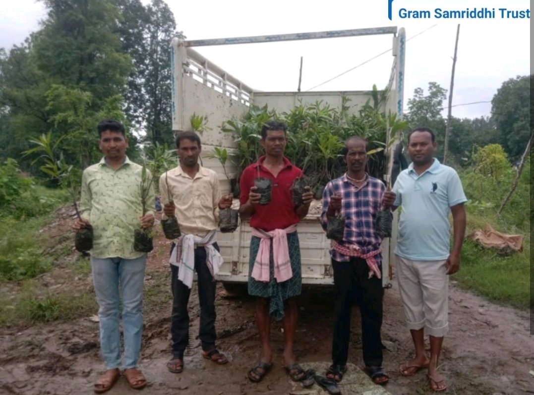 #Plantation Drive is on !
#Farmers have shown tremendous interest in plantation of #Fruits to ensure their #livelihood as well also putting their remarkable effort to create #Sustainable #Environment. 
#GramSamriddhiTrust #CSR #Plant #Fruitplants  #climateresilience #Odisha