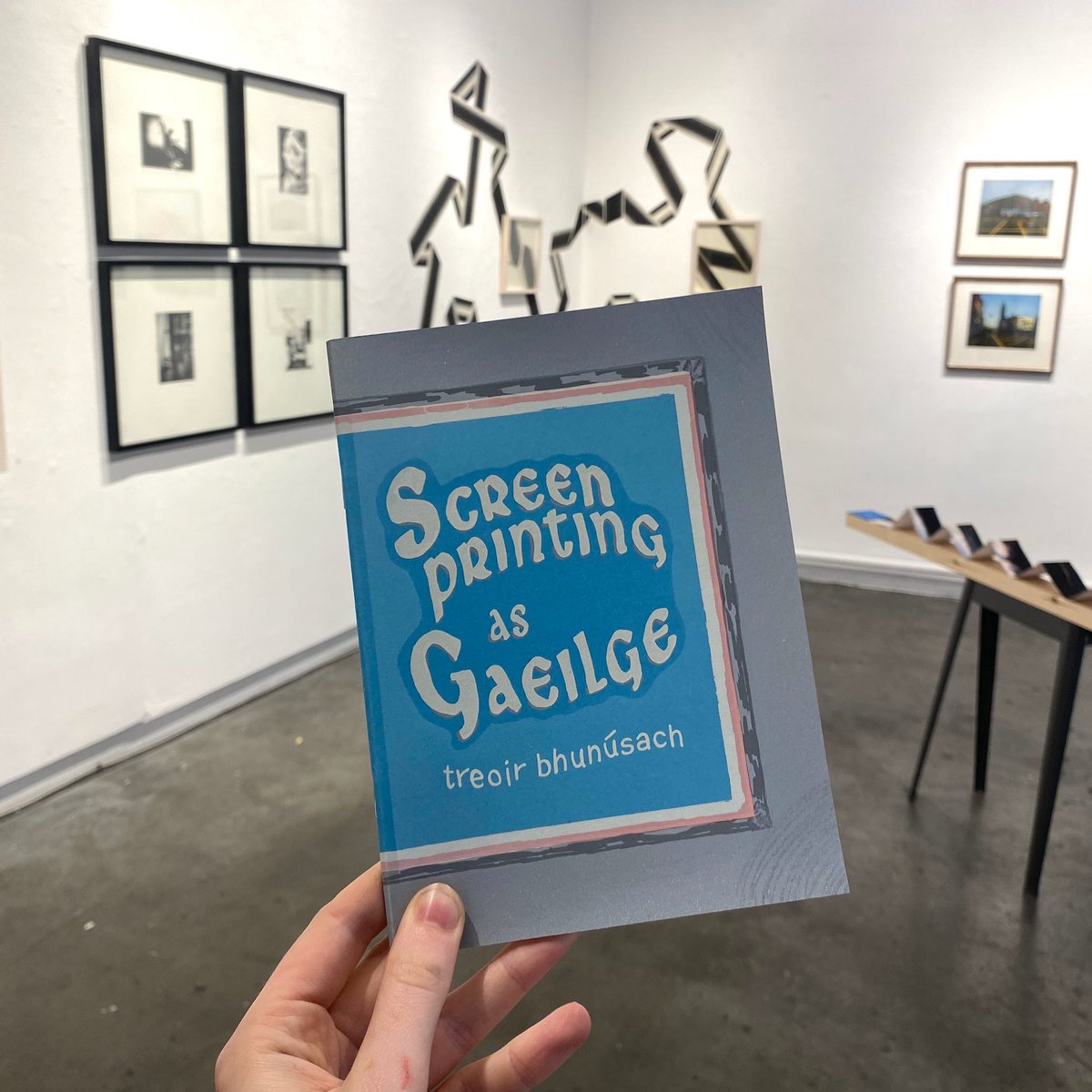We love Emily McGardle's 'Screenprinting as Gaeilge' zine! Make sure to grab a copy at thelibraryproject.ie and check out more of her work in store this month as part of @blackchurchprint's exhibition NETWORK.