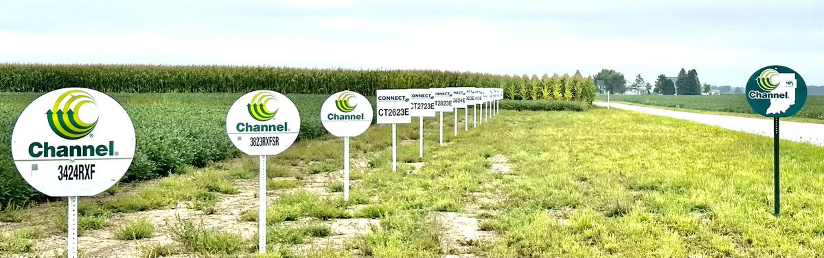 MaxProfitAG tweet media