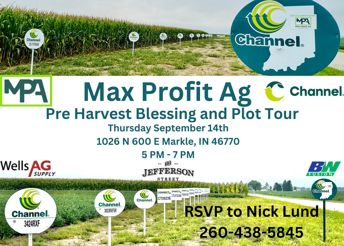 MaxProfitAG tweet media