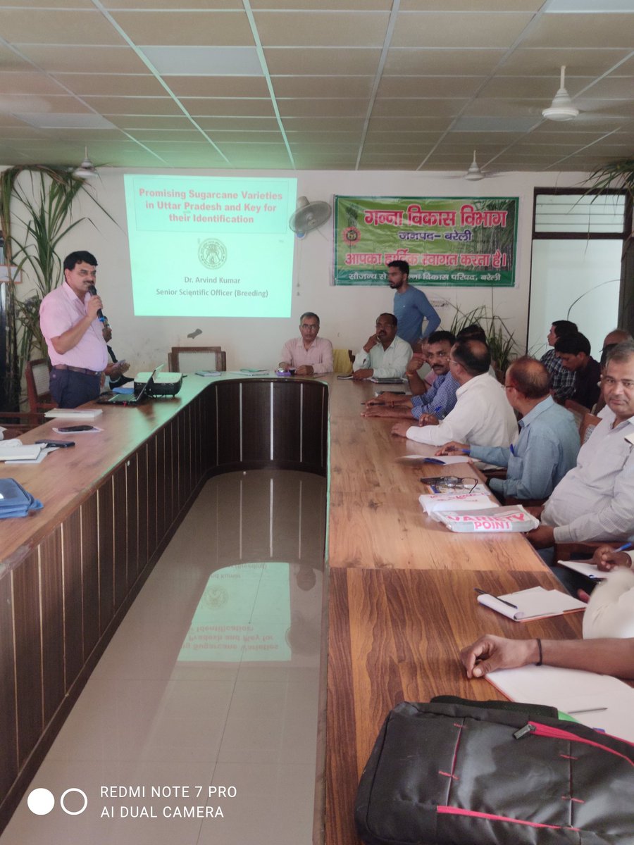 आज दिनांक 14.9.2023 को कार्या.जि0ग0अधि0,बरेली के सभागार कक्ष में गन्नाक्लीनिक प्र0 एव गन्ना पर्यवेक्षकों के प्रशिक्षण कार्यक्रम में गन्ना किसान संस्थान शाहजहाँपुर के सहा0निदेशक डॉ0पी.के.कपिल,वैज्ञानिक अधिकारी,शोध परिषद शाहजहांपुर एव जिला गन्ना अधि0बरेली द्वारा प्रशिक्षण दिया गया
