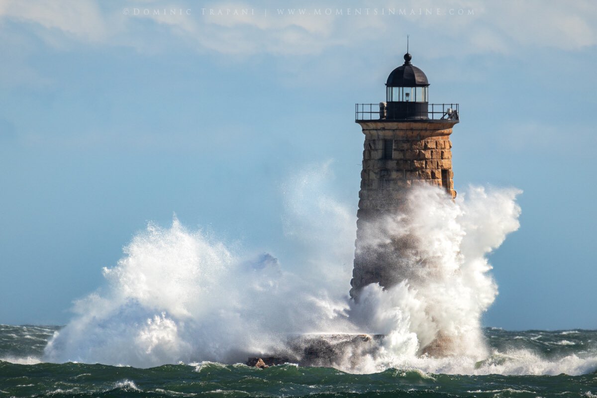 Dominic Trapani tweet media