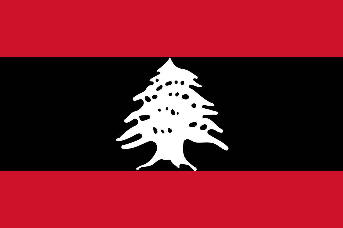 FlagsMashupBot's tweet photo. Lebanon (🇱🇧)
+
Egypt (🇪🇬)
=
Ebanon: https://t.co/u313jQQlgy