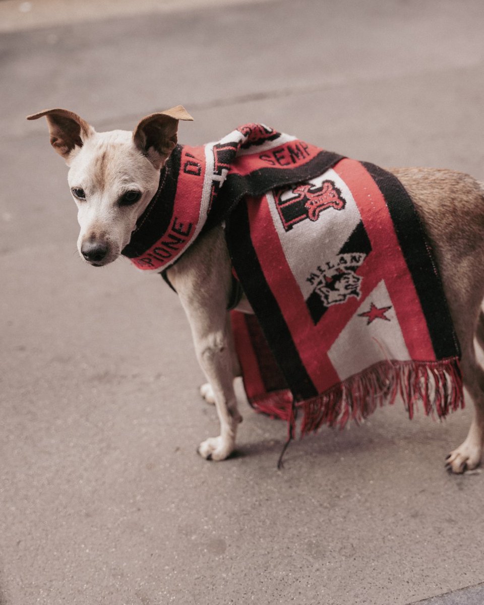 SerieA's tweet image. Nel segno del 𝐌𝐢𝐥𝐚𝐧: storie dei milanesi.

📸: Riccardo Lancia