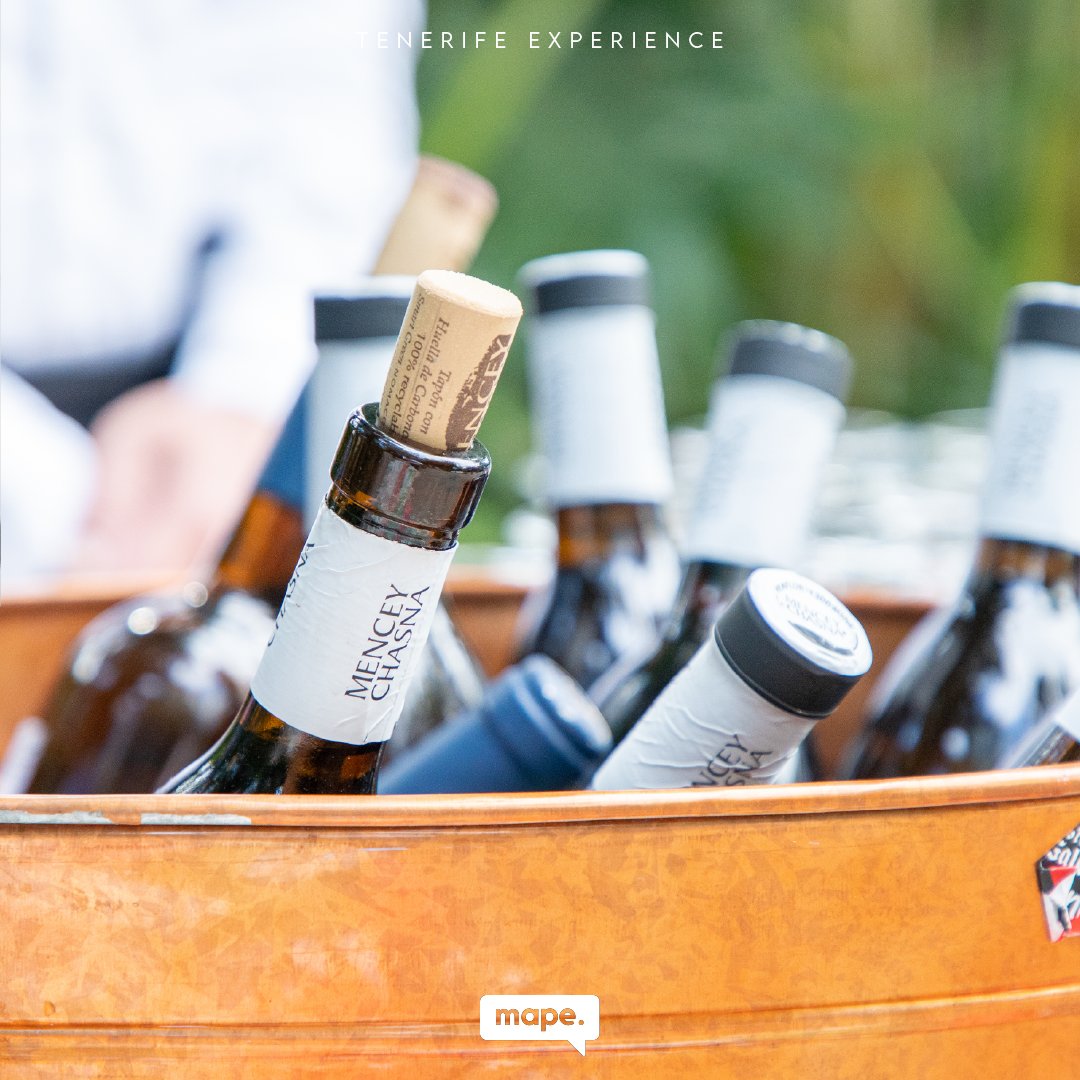 MAPE Producciones tweet media