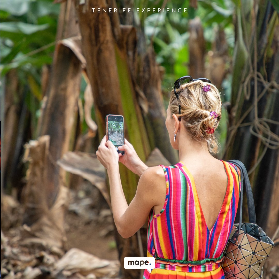 MAPE Producciones tweet media