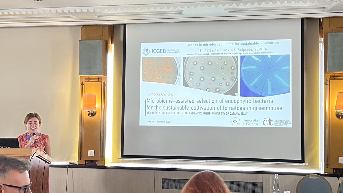 EvolvedBiofilm's tweet photo. Vittoria Catara @vcatara3566 (Uni Catania, Italy): Microbiome-assisted selection of endophytic bacteria for the sustainable cultivation of tomatoes in greenhouse
#ICGEBMicroAgri https://t.co/HAB9ODcASD