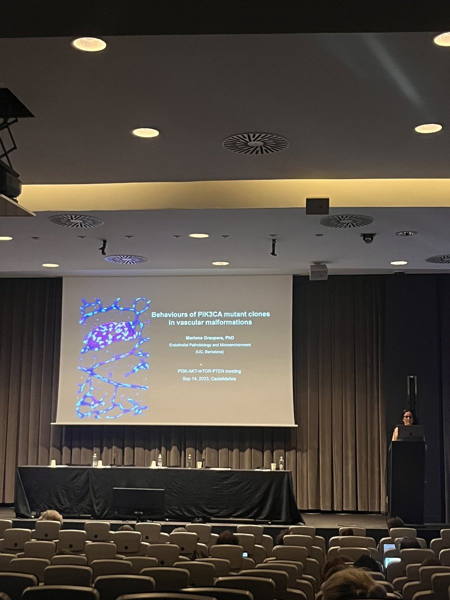 oliviajrowe's tweet photo. #PI3K programme coordinator @MarionaGraupera presents her lab’s research on PI3K signalling in vascular malformations. She has 5 students here also presenting their work through posters and oral communication spots! #BiochemEvents https://t.co/tjoPIoY0hl