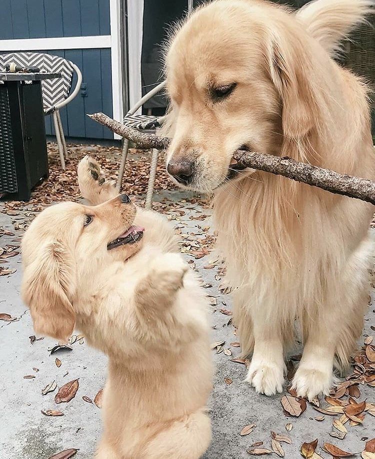 Mothers love❤️❤️