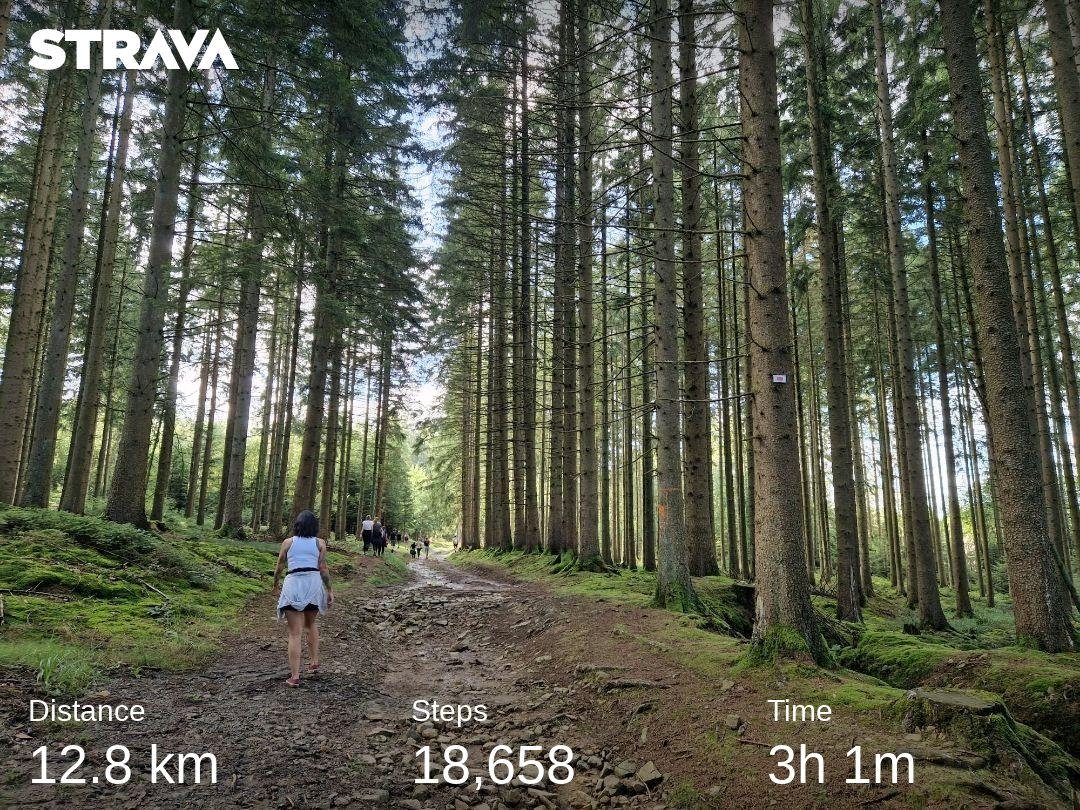 Marta Walentynowicz (@martawalentyna) on Twitter photo As per tradition, a lovely hike at <a href="/CLEPLeuven/">KU Leuven CLEP</a> retreat 2023 strava.app.link/v1KDbDaq5Cb As per tradition, a lovely hike at <a href="/CLEPLeuven/">KU Leuven CLEP</a> retreat 2023 strava.app.link/v1KDbDaq5Cb