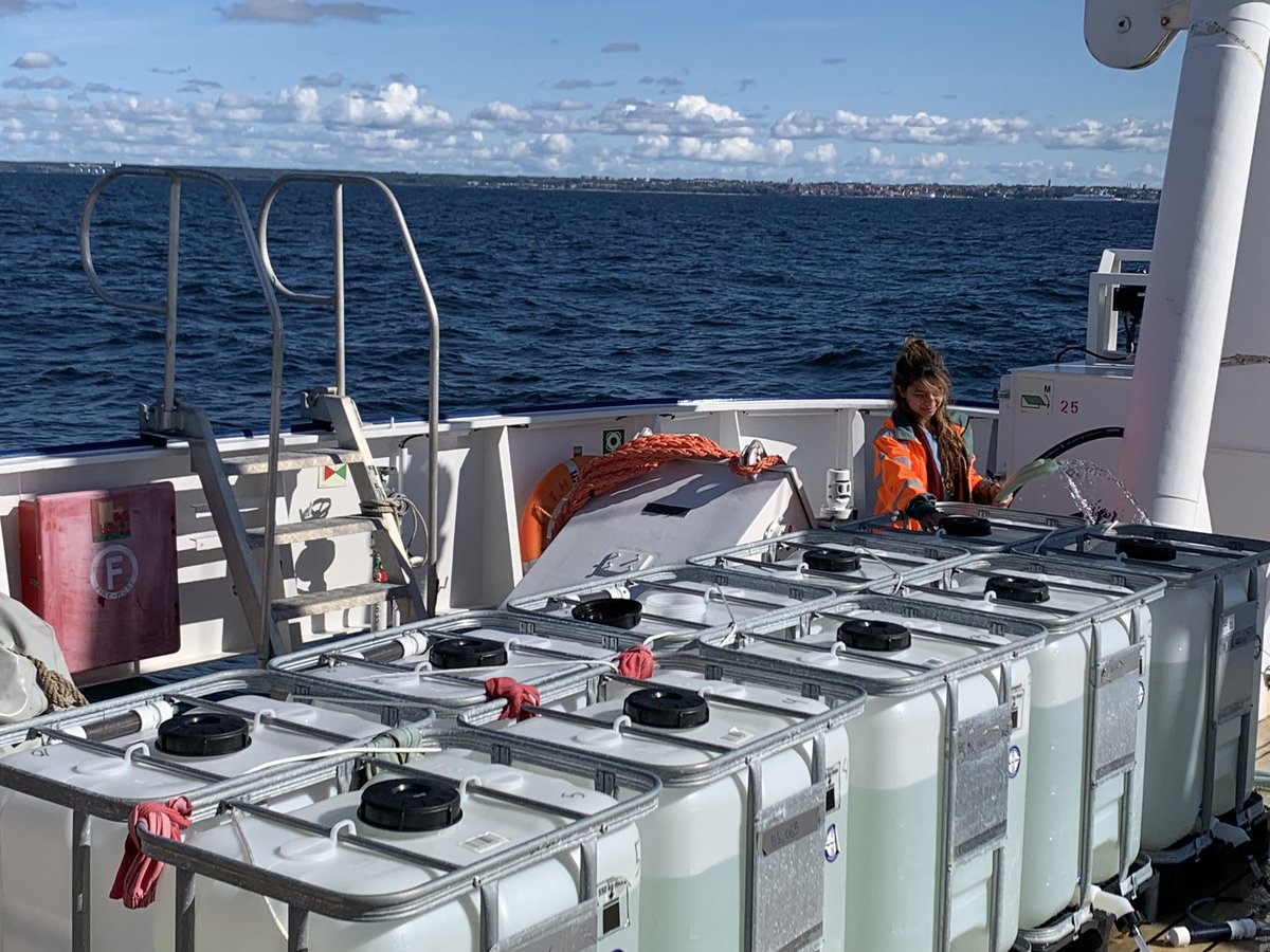 Prof Isaac Santos tweet media