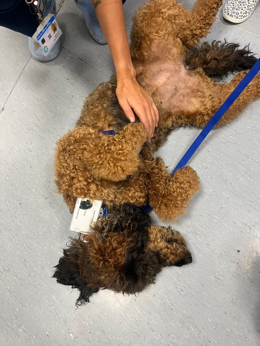 NET Research tweet media