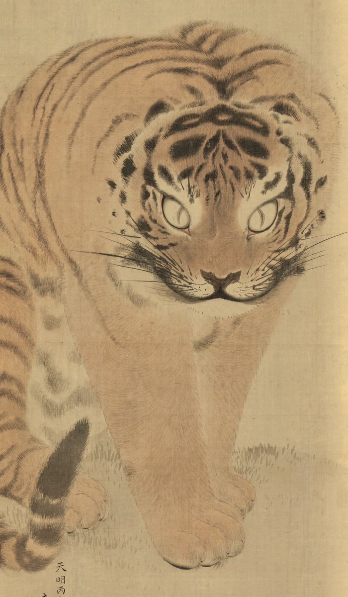 円山応挙《虎図》 #阪神優勝 おめでとうございます㊗️ということで